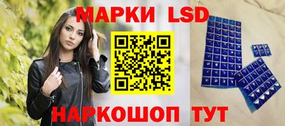гидра Будённовск
