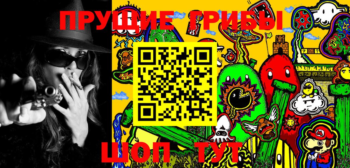 закладка  Галлюциногенные грибы Psilocybe  Вход с VPN  Михайловка 