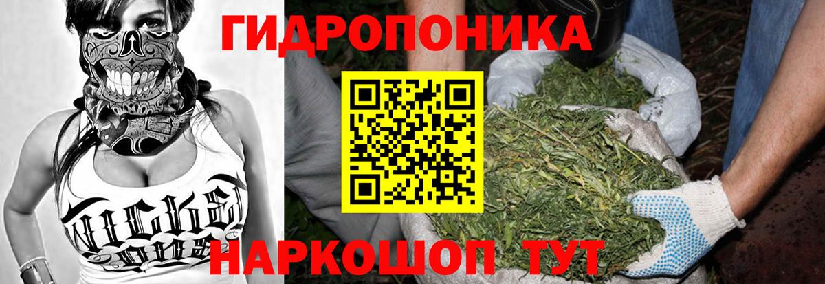 Бошки марихуана Ganja Михайловка